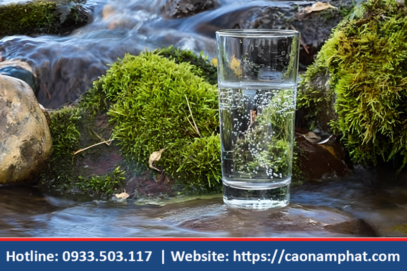 Nước thô (Raw water) là gì? Sử dụng nước thô có thật sự tốt ?